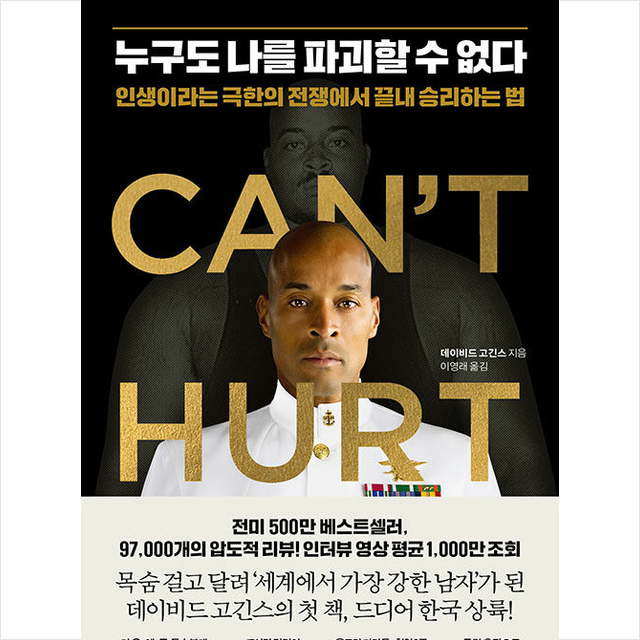 누구도 나를 파괴할 수 없다 (데이비드 고긴스)